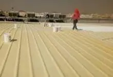 عزل شنكو بالرياض