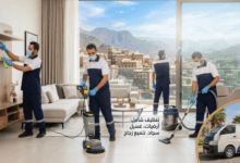 تنظيف الفرن احترافياً بابها