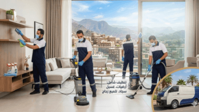تنظيف الفرن احترافياً بابها