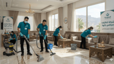 أدوات تنظيف الأفران المنزلية